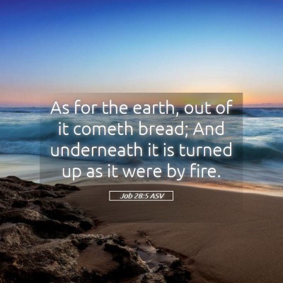 Picture 05 - Job 28:5 ASV - As for the earth, out of it cometh bread; And - Bible Verse Picture