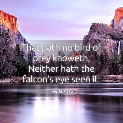 Picture 05 - Job 28:7 ASV - That path no bird of prey knoweth, Neither hath - Bible Verse Picture