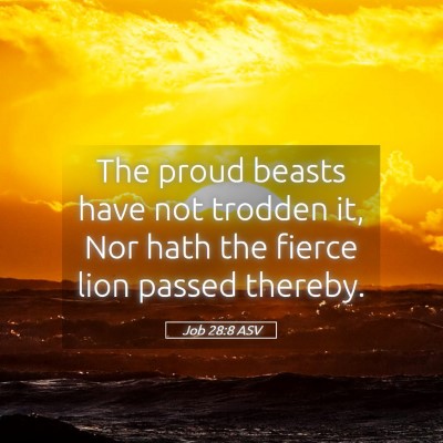 Picture 05 - Job 28:8 ASV - The proud beasts have not trodden it, Nor hath - Bible Verse Picture