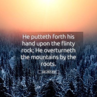 Picture 05 - Job 28:9 ASV - He putteth forth his hand upon the flinty rock; - Bible Verse Picture