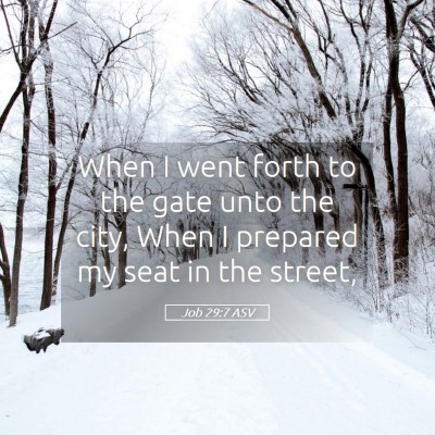 Picture 05 - Job 29:7 ASV - When I went forth to the gate unto the city, When - Bible Verse Picture
