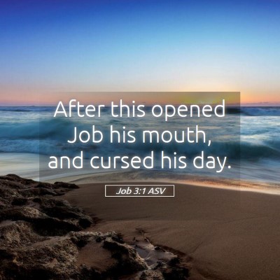 Picture 05 - Job 3:1 ASV - After this opened Job his mouth, and cursed his - Bible Verse Picture