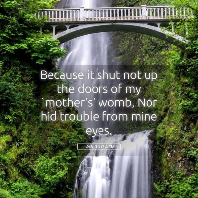 Picture 05 - Job 3:10 ASV - Because it shut not up the doors of my `mother's' - Bible Verse Picture