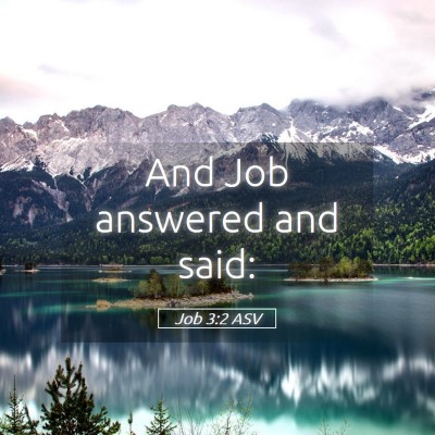 Picture 05 - Job 3:2 ASV - And Job answered and - Bible Verse Picture