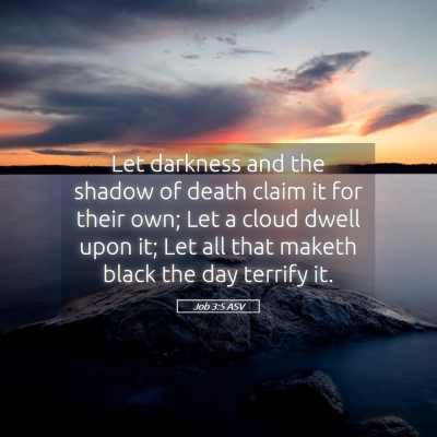 Picture 05 - Job 3:5 ASV - Let darkness and the shadow of death claim it for - Bible Verse Picture
