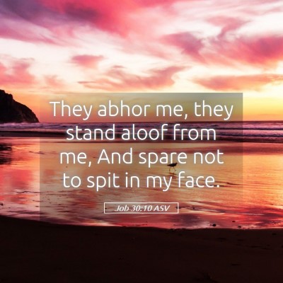 Picture 05 - Job 30:10 ASV - They abhor me, they stand aloof from me, And - Bible Verse Picture