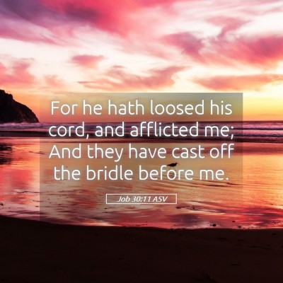 Picture 05 - Job 30:11 ASV - For he hath loosed his cord, and afflicted me; - Bible Verse Picture