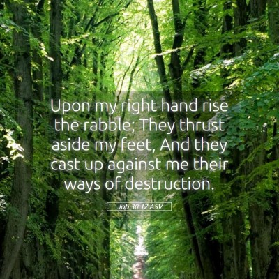 Picture 05 - Job 30:12 ASV - Upon my right hand rise the rabble; They thrust - Bible Verse Picture