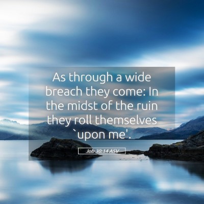 Picture 05 - Job 30:14 ASV - As through a wide breach they come: In the midst - Bible Verse Picture