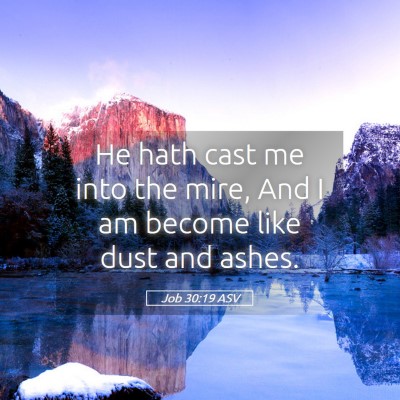 Picture 05 - Job 30:19 ASV - He hath cast me into the mire, And I am become - Bible Verse Picture