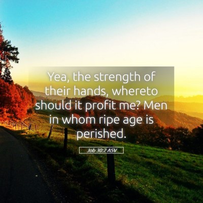 Picture 05 - Job 30:2 ASV - Yea, the strength of their hands, whereto should - Bible Verse Picture