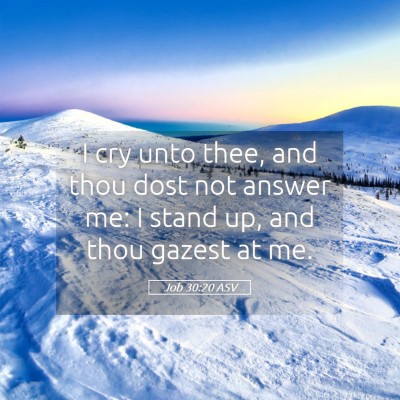 Picture 05 - Job 30:20 ASV - I cry unto thee, and thou dost not answer me: I - Bible Verse Picture