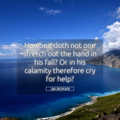 Picture 05 - Job 30:24 ASV - Howbeit doth not one stretch out the hand in his - Bible Verse Picture