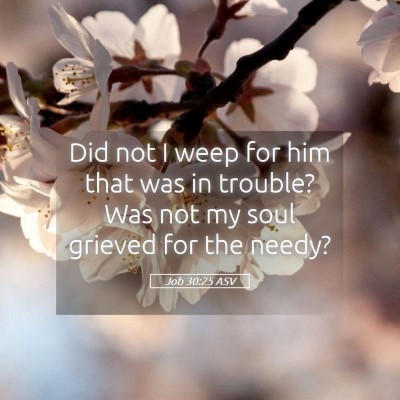 Picture 05 - Job 30:25 ASV - Did not I weep for him that was in trouble? Was - Bible Verse Picture