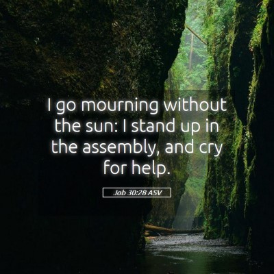 Picture 05 - Job 30:28 ASV - I go mourning without the sun: I stand up in the - Bible Verse Picture