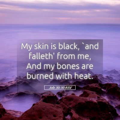 Picture 05 - Job 30:30 ASV - My skin is black, `and falleth' from me, And my - Bible Verse Picture