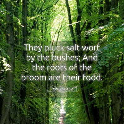 Picture 05 - Job 30:4 ASV - They pluck salt-wort by the bushes; And the roots - Bible Verse Picture