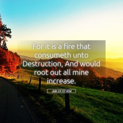 Picture 05 - Job 31:12 ASV - For it is a fire that consumeth unto Destruction, - Bible Verse Picture