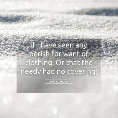 Picture 05 - Job 31:19 ASV - If I have seen any perish for want of clothing, - Bible Verse Picture