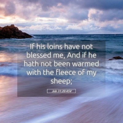 Picture 05 - Job 31:20 ASV - If his loins have not blessed me, And if he hath - Bible Verse Picture