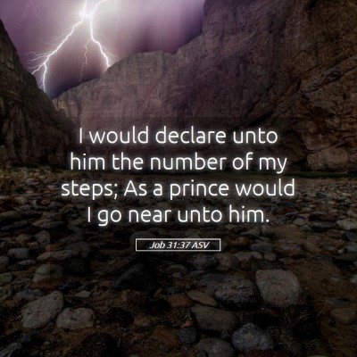 Picture 05 - Job 31:37 ASV - I would declare unto him the number of my steps; - Bible Verse Picture
