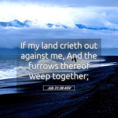 Picture 05 - Job 31:38 ASV - If my land crieth out against me, And the furrows - Bible Verse Picture