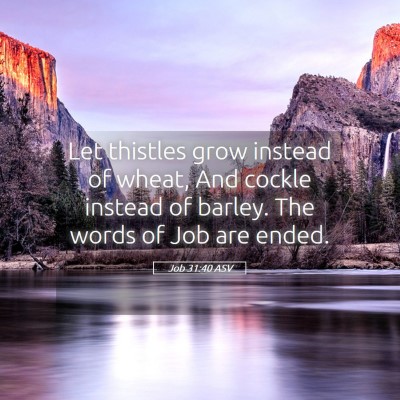 Picture 05 - Job 31:40 ASV - Let thistles grow instead of wheat, And cockle - Bible Verse Picture