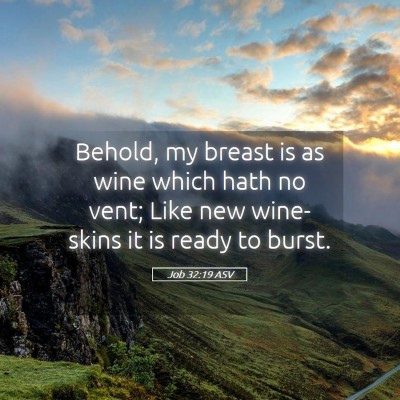 Picture 05 - Job 32:19 ASV - Behold, my breast is as wine which hath no vent; - Bible Verse Picture