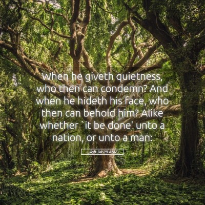 Picture 05 - Job 34:29 ASV - When he giveth quietness, who then can condemn? - Bible Verse Picture