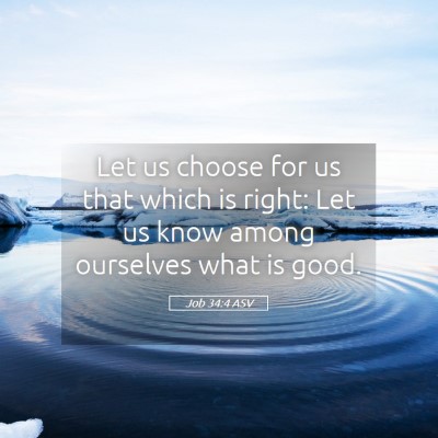 Picture 05 - Job 34:4 ASV - Let us choose for us that which is right: Let us - Bible Verse Picture