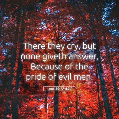 Picture 05 - Job 35:12 ASV - There they cry, but none giveth answer, Because - Bible Verse Picture