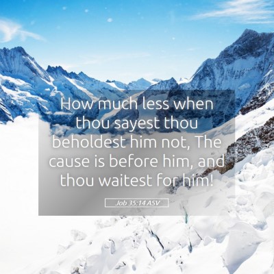 Picture 05 - Job 35:14 ASV - How much less when thou sayest thou beholdest him - Bible Verse Picture