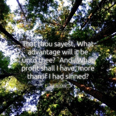 Picture 05 - Job 35:3 ASV - That thou sayest, What advantage will it be unto - Bible Verse Picture
