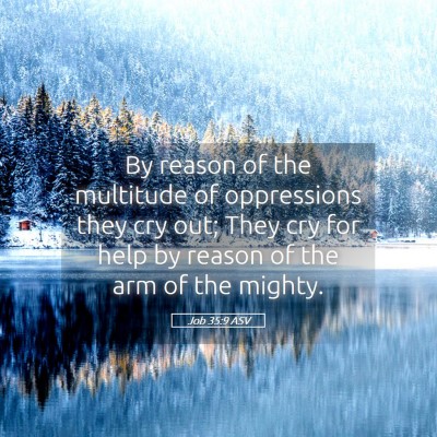 Picture 05 - Job 35:9 ASV - By reason of the multitude of oppressions they - Bible Verse Picture
