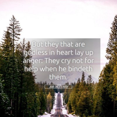 Picture 05 - Job 36:13 ASV - But they that are godless in heart lay up anger: - Bible Verse Picture