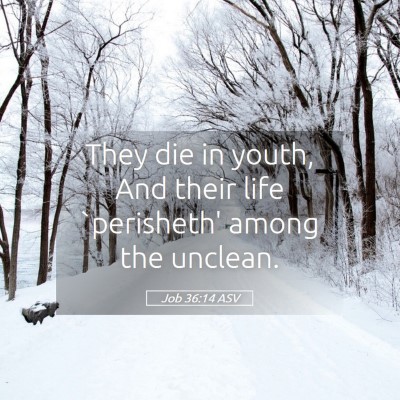 Picture 05 - Job 36:14 ASV - They die in youth, And their life `perisheth' - Bible Verse Picture