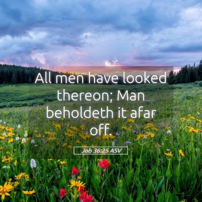 Picture 05 - Job 36:25 ASV - All men have looked thereon; Man beholdeth it - Bible Verse Picture