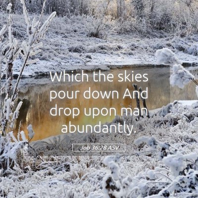 Picture 05 - Job 36:28 ASV - Which the skies pour down And drop upon man - Bible Verse Picture