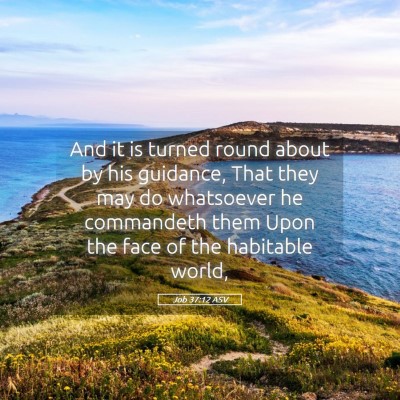 Picture 05 - Job 37:12 ASV - And it is turned round about by his guidance, - Bible Verse Picture