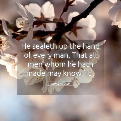 Picture 05 - Job 37:7 ASV - He sealeth up the hand of every man, That all men - Bible Verse Picture