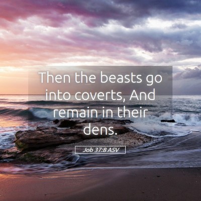 Picture 05 - Job 37:8 ASV - Then the beasts go into coverts, And remain in - Bible Verse Picture