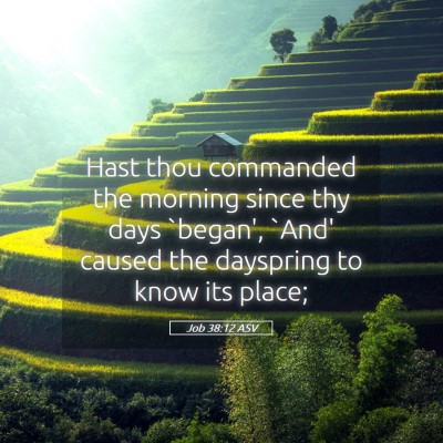 Picture 05 - Job 38:12 ASV - Hast thou commanded the morning since thy days - Bible Verse Picture