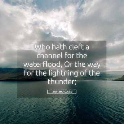 Picture 05 - Job 38:25 ASV - Who hath cleft a channel for the waterflood, Or - Bible Verse Picture