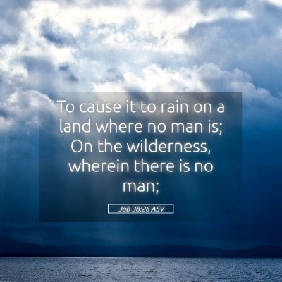 Picture 05 - Job 38:26 ASV - To cause it to rain on a land where no man is; On - Bible Verse Picture