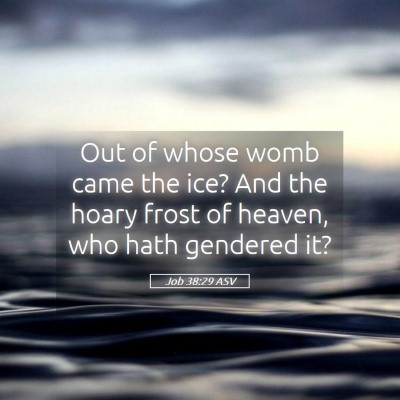 Picture 05 - Job 38:29 ASV - Out of whose womb came the ice? And the hoary - Bible Verse Picture