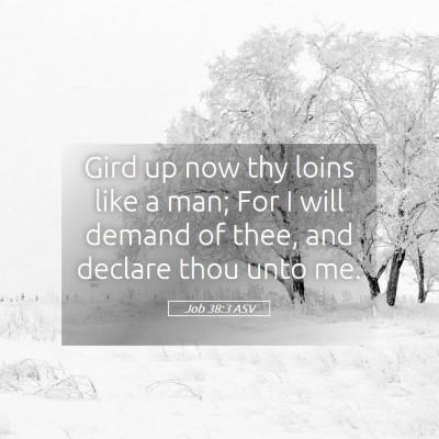 Picture 05 - Job 38:3 ASV - Gird up now thy loins like a man; For I will - Bible Verse Picture