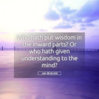 Picture 05 - Job 38:36 ASV - Who hath put wisdom in the inward parts? Or who - Bible Verse Picture