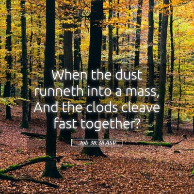 Picture 05 - Job 38:38 ASV - When the dust runneth into a mass, And the clods - Bible Verse Picture