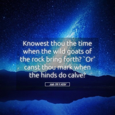 Picture 05 - Job 39:1 ASV - Knowest thou the time when the wild goats of the - Bible Verse Picture