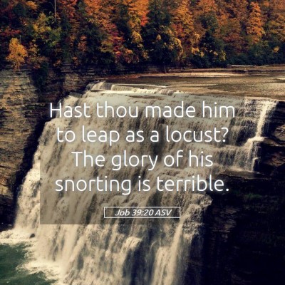 Picture 05 - Job 39:20 ASV - Hast thou made him to leap as a locust? The glory - Bible Verse Picture